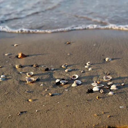 Quiet Retreat In The Heart Of *