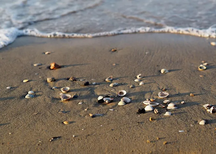 Quiet Retreat In The Heart Of *